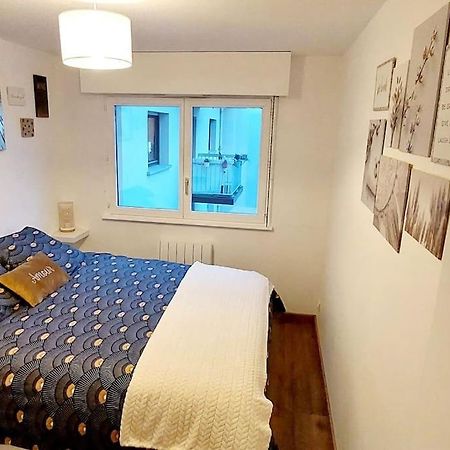 Appartement Cosy Strasbourg Eksteriør billede